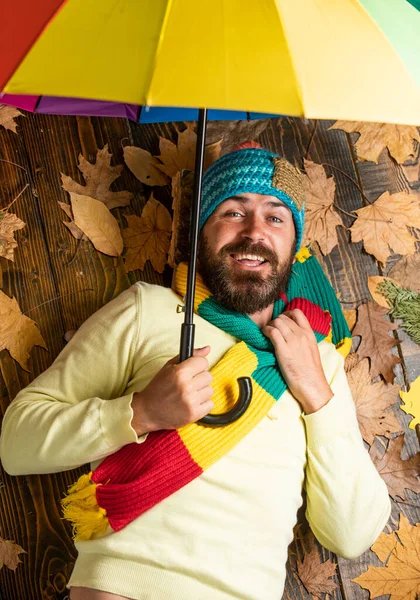 Jedes Wetter ist gut. bärtiger Mann inmitten herbstlicher Ahornblätter. Hipster halten bunten Regenschirm in der Hand. Ernte- und Herbstwetterkonzept. Freizeit im Park. Kein Regen mehr. Zeit zum Ausruhen. Verliebt in die Natur — Stockfoto