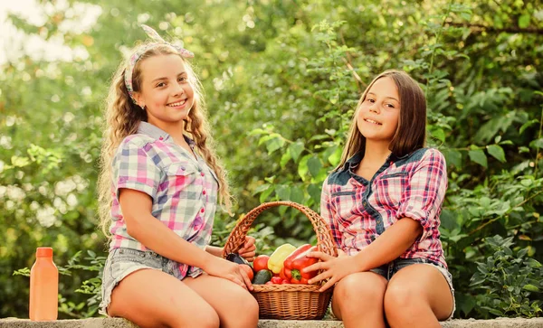 Vrolijk weekend. kleine meisjes groente in mand. Alleen natuurlijk sap. kinderen in de landbouw. Herfst oogst. Kinderen houden van groentesappen. Gezond eten is gelukkig leven. vitamine oogsten. voorjaarstuin — Stockfoto