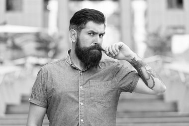 Bıyığına takıntılıydı. Sakallı adam, şehir dışında bıyık çeviriyor. Hippi uzun sakal ve bıyık takar. Sakal ve bıyık bakımı. Berber dükkanı. Berber dükkanı. Büyümek ve tımar etmek için ürünler