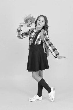 Sadece okul havasındayım. Mutlu çocuk iyi bir ruh hali içinde okula gider. Küçük okul çocuğu sonbahar yapraklarını tutuyor. Sonbahar havasına giriyorum. Öğrenme havasında olmak. Eğitim. Okula geri dön.