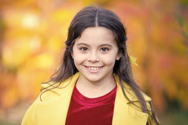 Sonbahar, en güzel son gülümsemedir. Sonbahar arka planında sevimli gülüşü olan mutlu bir çocuk. Küçük kız açık havada taze havayla oynuyor. Idyllic sonbahar günü. Sonbaharın sıcağının tadını çıkar.