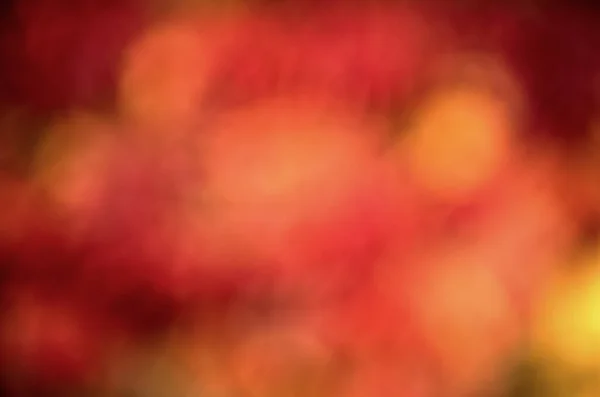 Πολύχρωμη εποχή. Όμορφο φθινοπωρινό φόντο. Αποεστιασμένη θολή φόντο φύλλα φθινόπωρο. Φθινοπωρινή διαφήμιση. Ομορφιά της φύσης. Φυσικά χρώματα. Φόντο φθινοπωρινών. Νεφελώδη φθινοπωρινά κόκκινα φύλλα — Φωτογραφία Αρχείου