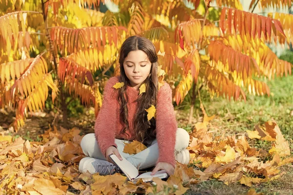 Hobby and interests. Girl read book autumn day. Little child enjoy learning at backyard or park. Kid study with book. Self education concept. Child enjoy reading. Schoolgirl study. Study every day — Stock Photo, Image