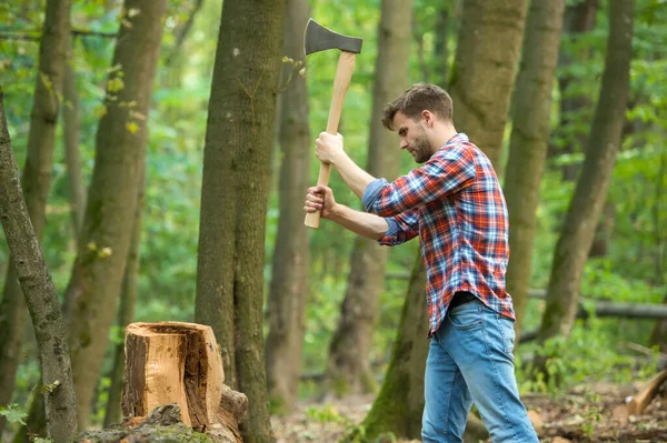 フォースが必要だ。野生の自然概念に生きています。森の中に斧を持った男。カッターは木を切る。手に斧を持つルンベルジャック。放浪者、ハイキング、旅行。斧で木のカッター — ストック写真