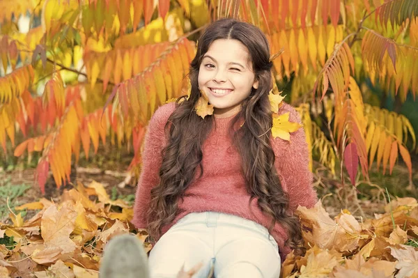 Belle saison. Week-end ensoleillé. Fille s'asseoir détente dans le parc journée ensoleillée. Automne chaud. Élégante fille souriante dans un parc d'automne. Feuilles tombées. Nature automnale. Heureux petit enfant en plein air jouer avec les feuilles — Photo