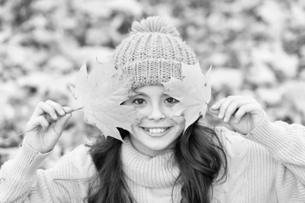 Słodki uśmiech jesieni. Szczęśliwa dziewczyna bawi się żółtymi liśćmi. Małe dziecko uśmiecha się jesienią. Zdrowy i naturalny uśmiech. Stomatologia kosmetyczna. Uczucie pewności w jej uśmiechu — Zdjęcie stockowe