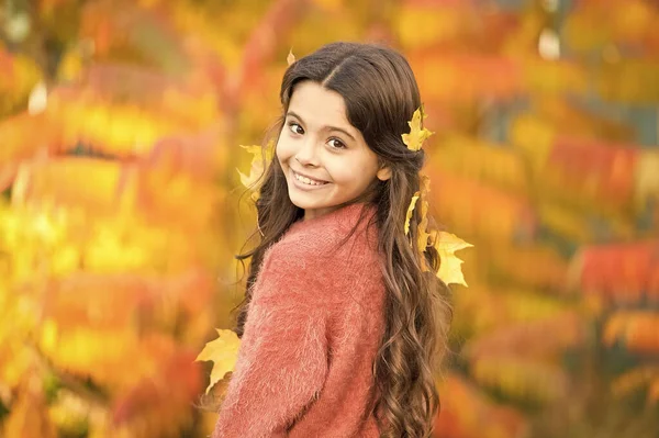 いい秋の日だ。葉で遊ぶ。幸せな子供時代。秋祭りだ。シンプルな幸せ。子供は屋外で秋を楽しむ。秋に会いましょう。小さな女の子笑顔幸せなかわいい子供豪華な長い髪カエデの葉 — ストック写真