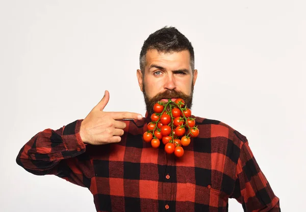 Man håller tomat bär som skägg isolerad på vit bakgrund. — Stockfoto