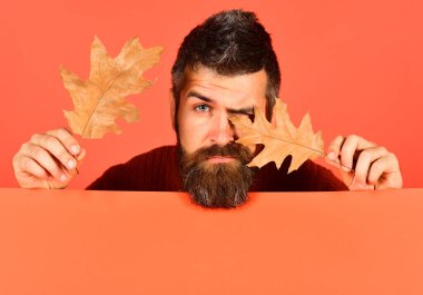 Sonbahar ve düşen yapraklar kavramı. Sonbahar ve hipster tarzı