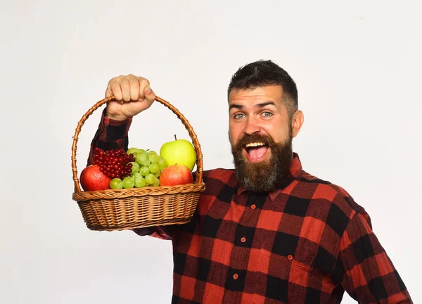 Αγρότης με ενθουσιασμένο πρόσωπο παρουσιάζει μήλα, σταφύλια και cranberries — Φωτογραφία Αρχείου