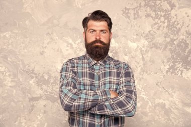 Bireysel stil. Berber salonu. Sakallı ve bıyıklı hippi mavi gömlek giyer. Bakım hizmeti konsepti. İyi giyimli bir maço. Gri duvar arka planında yakışıklı bir hippi. Sakallı adam hippi tarzı.