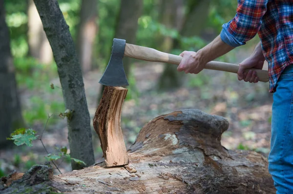 Χέρια του ξυλοκόπου με Axe κοπεί ένα δέντρο, δάσος — Φωτογραφία Αρχείου