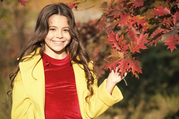 Välkommen oktober. Förenat med naturen. En liten barnpromenad i höstparken. Höstens fritid. Höstens atmosfär. Bedårande leende skolflicka höst lövverk bakgrund. Bra humör. Lyckligt barn — Stockfoto