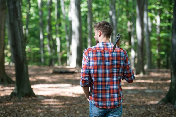Ormanda balta ve doğa ile yürüyen ormancı.