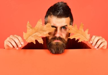 Adamın elinde şeftali gibi turuncu arka planda meşe yaprakları var.