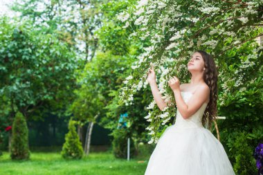 Muhteşem bir yaz parkı beyaz çiçek arka planı, doğal güzellik konsepti.