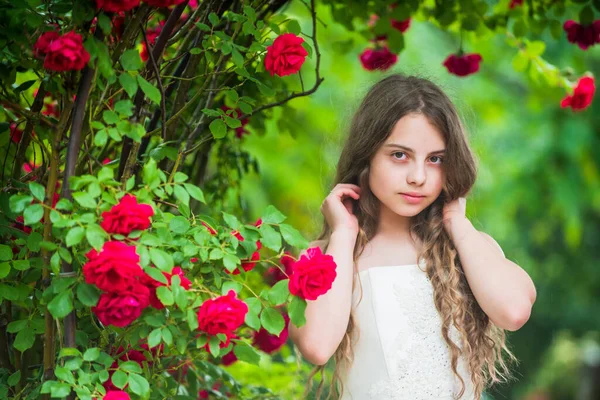 Vestido de salón de niña de ensueño en jardín de rosas, pequeño concepto de princesa —  Fotos de Stock