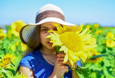 Güzel ayçiçekli mutlu çocuk portresi. Sarı çiçeklerin arasında saman şapkalı neşeli çocuk. Yaz ayçiçeği tarlasında küçük bir kız. Mutlu çocuklar günü. çocukluk mutluluğu. Senin için öyle.