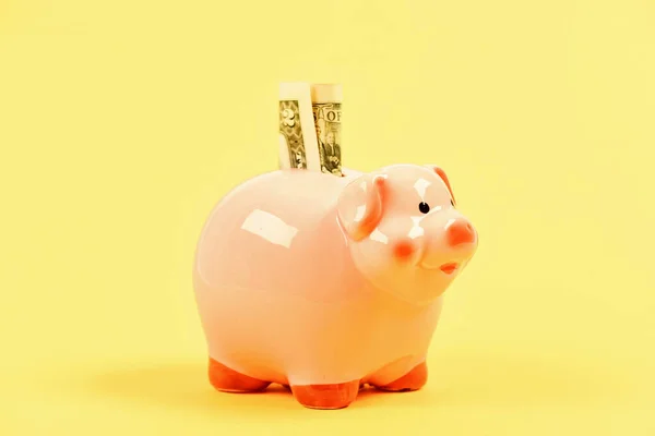 Money budget planning. Financial wellbeing. Economics and finance. Piggy bank pink pig stuffed dollar banknote cash. Save money. Banking account. Earn money salary. Credit concept. Money saving
