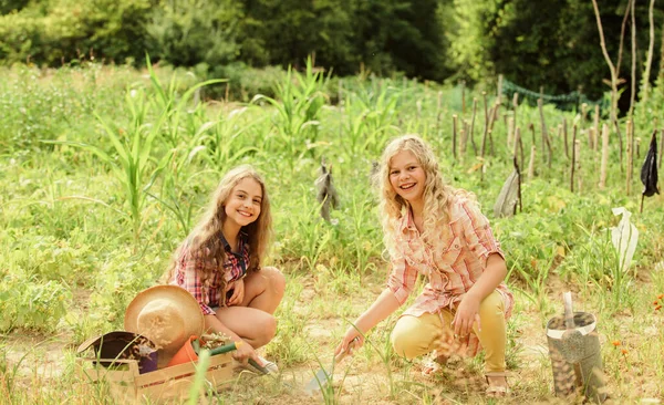 Regarde-moi ça. protéger la nature. Une récolte riche. les enfants travaillent sur le terrain utilisent l'outil de jardinage. une agriculture heureuse. printemps côté campagne. Jour de la Terre. ferme familiale d'été. petites filles agriculteur dans le jardin du village — Photo