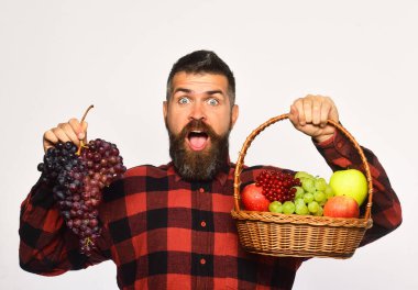 Hasatı olan adam. Çiftçilik ve sonbahar kavramı.