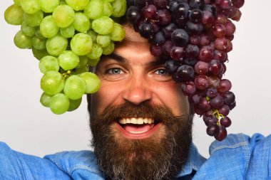 Mutlu yüzlü şarap üreticisi üzüm kümeleri tutuyor.