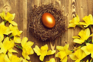 Geleneksel Paskalya altın yumurtası yuvada, bahar sarısı narsisli çiçek