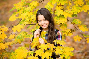 Mutlu çocuk sonbahar havasını sever. Sonbahar yapraklı küçük kız. Sonbahar zamanı. Sonbahar ormanında uzun saçlı bir çocuk. Doğanın güzelliği. Sonbahar parkındaki çocuk. Akçaağaç yapraklı neşeli kız. Düşüncelere daldım