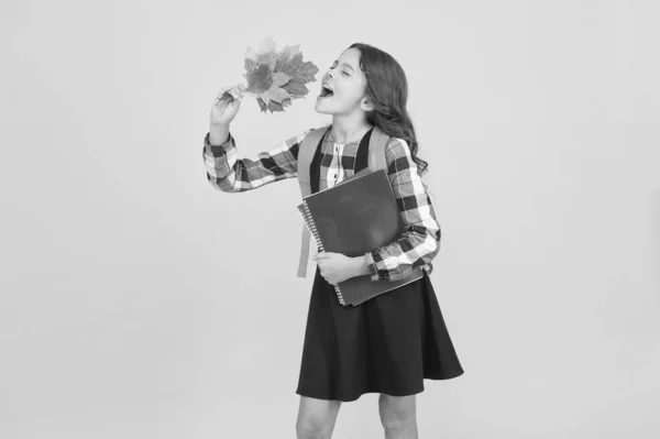 Hora de Outono para estudar. Início do semestre de outono. Conceito de educação escolar. Menina desfrutando estação de outono. De volta ao estudo. Pequena estudante com mochila de livros escolares e folhas de outono — Fotografia de Stock