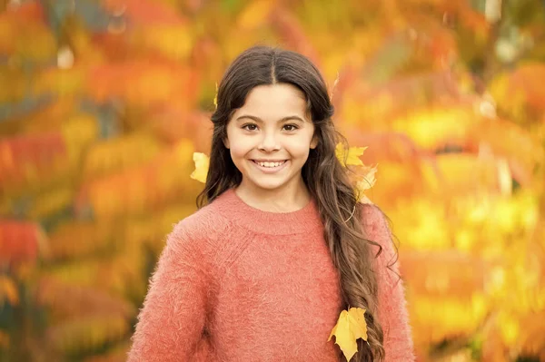 O outono traz felicidade e alegria. Menina feliz usar folhas de outono no cabelo. Criança pequena feliz sorrindo na paisagem outonal. Feliz Outono. Boas festas — Fotografia de Stock