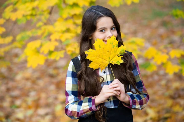 Perfect place to stay. small girl in autumn leaves. fall time. child with long hair in fall forest. beauty of nature. kid in autumn park. cheerful girl with maple leaves. happy kid enjoy fall weather — Stock Photo, Image