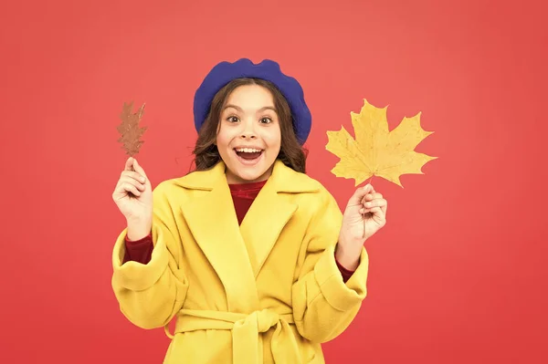 Абсолютно счастлив. счастливая маленькая девочка с кленовым листом. Парижская девочка в французском берете и желтом пальто. Пора в школу. детское счастье. осень. упавшие листья. Осенняя мода — стоковое фото