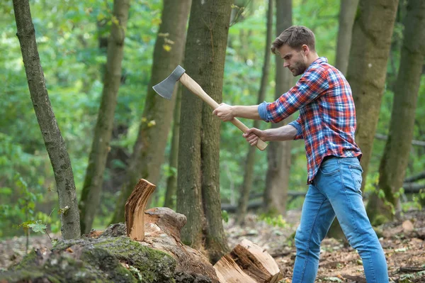 El hombre está cortando madera con hacha vintage, picnic —  Fotos de Stock