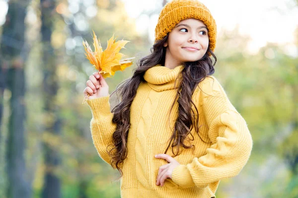 Rahat ve modaya uygun hissediyorum. Güzellik. Mutlu çocuk sonbahar doğasında rahatlar. Küçük kız örgü şapka ve kazak giyiyor. Çocuk ormanda sonbahar havasının tadını çıkarıyor. Kız sonbahar parkında akçaağaç yaprağı tutuyor.