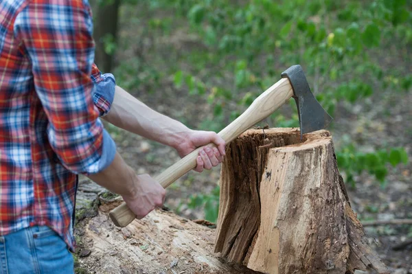 A cortar lenha. A cortar madeira. Helicóptero de madeira em mãos masculinas. Equipamento de lenhadores. Registro florestal. Colheita de madeira. Natureza de verão — Fotografia de Stock