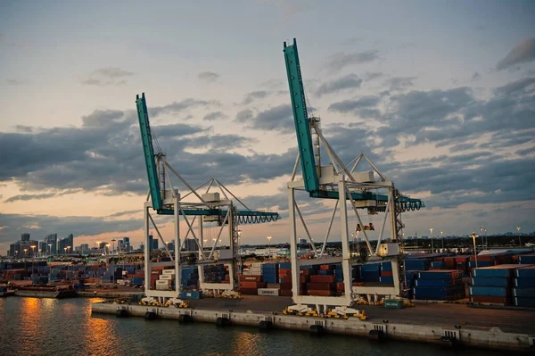 Miami, EE.UU. - 01 de marzo de 2016: grúas de carga en el cielo nublado. Contenedores en el puerto de carga. Equipo de carga frente al mar. Envío de carga. Ciudad de la tarde skyline — Foto de Stock