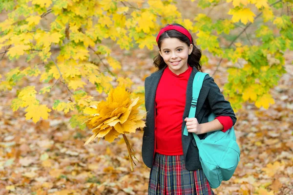 Felice scuola ragazza manciata di foglie di acero giallo nel parco, tempo di scuola — Foto Stock