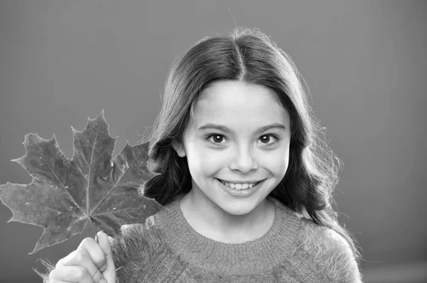 Nettes Lächeln. Kleines Kind hält Ahornblatt in der Hand, das seine Farbe ändert. Wie schön ist doch der Herbst. Naturschönheit. Frohe Herbstzeit. Herbstschönheit. Kleines Mädchen lächelt mit Herbstblatt — Stockfoto