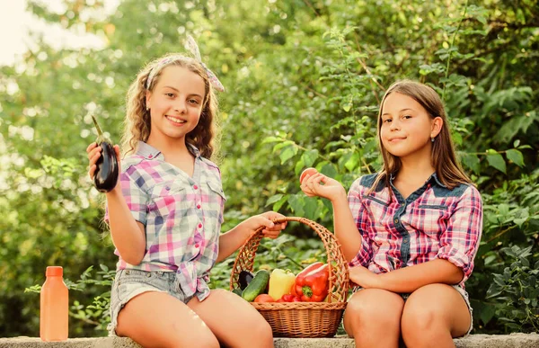 Vreugdevol proces. Alleen natuurlijk sap. kinderen in de landbouw. Herfst oogst. Kinderen houden van groentesappen. Gezond eten is gelukkig leven. vitamine oogsten. lentetuin. kleine meisjes groente in mand — Stockfoto