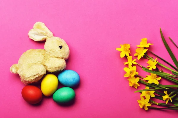 ウサギのおもちゃ春の黄色のナルシシズムの花とカラフルなイースターエッグ — ストック写真