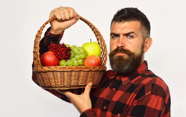 Man med skägg håller korg med frukt på vit bakgrund — Stockfoto