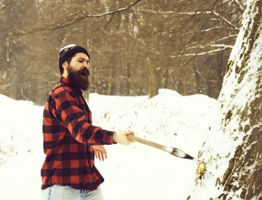 Yakışıklı vahşi oduncu ağacı kesti.