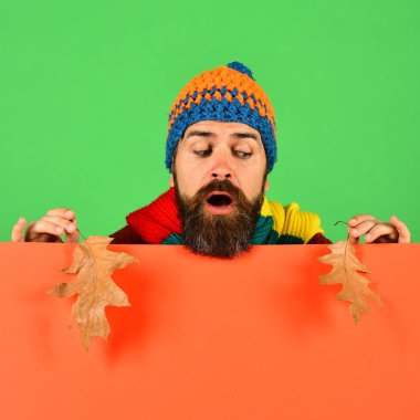 Sakallı, meraklı suratlı hippi aşağı bakıyor.