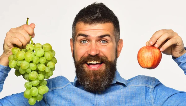 Çiftçi hasat gösteriyor. Heyecanlı yüzlü şarap üreticisi üzümleri tutuyor