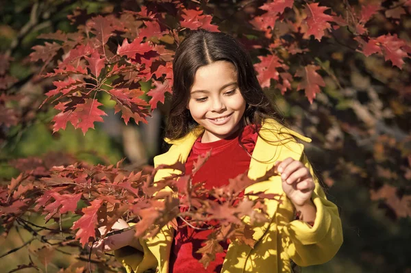 My perfect autumn. United with nature. Little child walk in autumn park. Autumn season leisure. Atmosphere of autumn. Adorable smiling schoolgirl autumn foliage background. Good mood. Happy child — Stock Photo, Image