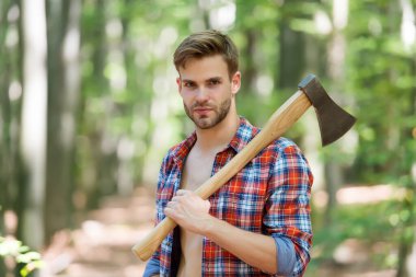 Ağaç kesme mevsimi. Oduncu ormanda baltayı taşır. Orman odunculuğu. Odun kesiyorum. Yaz doğası. Doğa manzarası. Ekoloji ve çevre. Oduncu stili