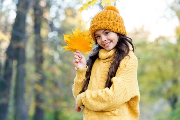 Bella ragazza in stile autunnale raccogliere foglie d'acero giallo, stagione autunnale — Foto Stock