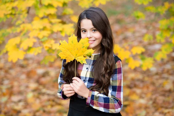 どんな天気でもいい。秋だ。秋の森の中に長い髪の子供。自然の美しさ。秋の公園の子供。黄色のカエデの葉を持つ陽気な女の子。幸せな子供は天気を楽しむ。秋の紅葉の小娘 — ストック写真