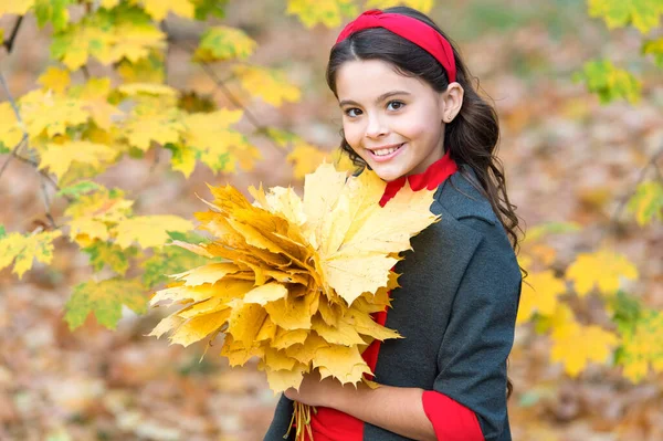 Gondtalan és boldog. Boldog gyerek élvezze az időjárást. Kislány őszi levelekkel. Ősszel. hosszú hajú gyermek őszi erdőben. a természet szépsége. Egy kölyök az Őszi Parkban. vidám lány sárga juharfalevéllel — Stock Fotó
