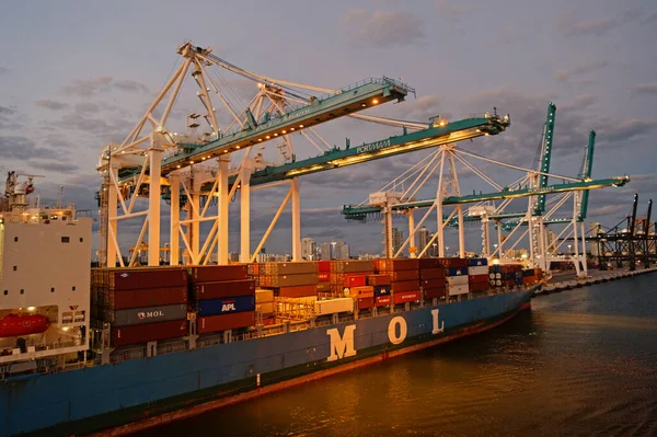 Miami, USA - 01 mars 2016: MOL-fartyg i kvällshamn. Behållarfartyg. Containership och kranar belysning. Matarkärl. Marint fartyg. Hamn eller icke-hamn flytande anläggning. Sjötransport — Stockfoto
